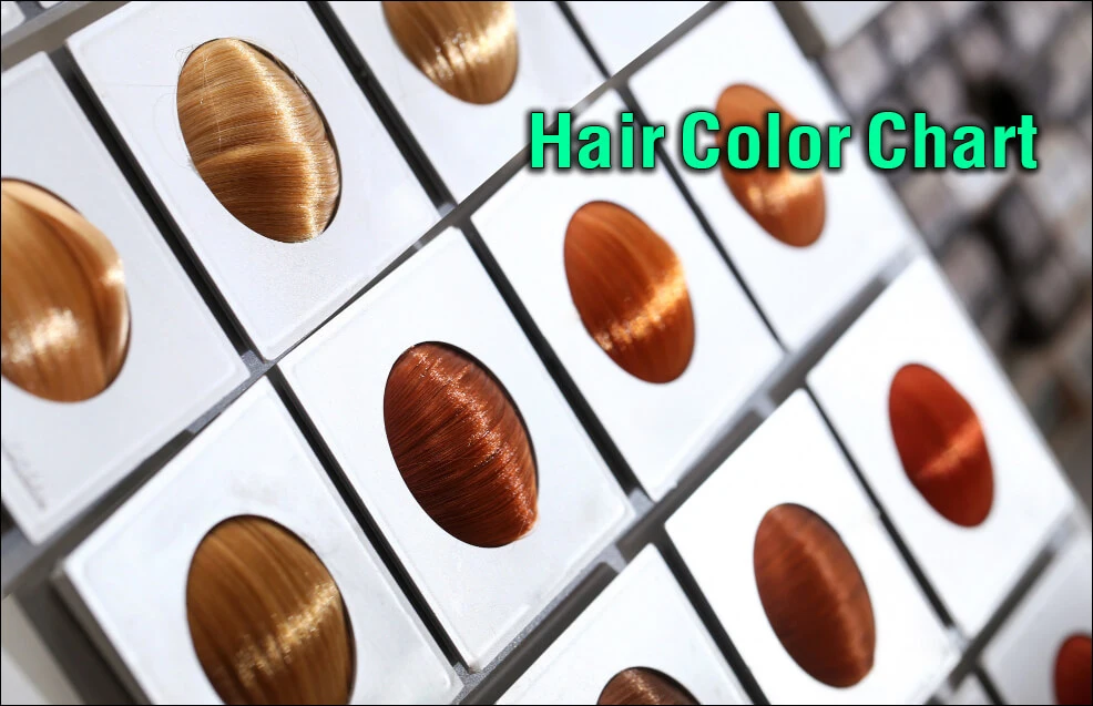 hair color chart feature